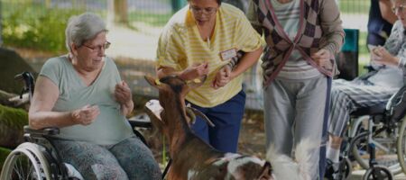 Tiergestützte Therapie Senioren und Tiere Pflegeheim Tierbesuch Therapie mit Tieren Interaktion mit Tieren im Alter Tierische Aktivitäten für Senioren Tierbesuche im Pflegeheim Pflegeheim Gemeinschaft Senioren und Natur Aktivitäten im Pflegeheim
